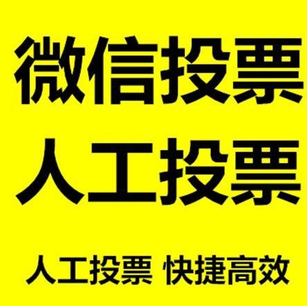 迪庆藏族自治州微信刷票怎么投票