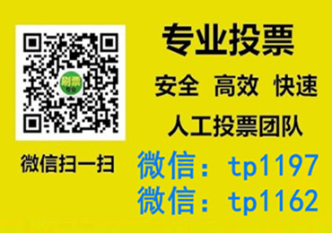 迪庆藏族自治州微信手动投票费多少钱让我告诉你微信投了多少